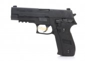 WE Full Metal SIG SAUER P226 Pistol With Marking